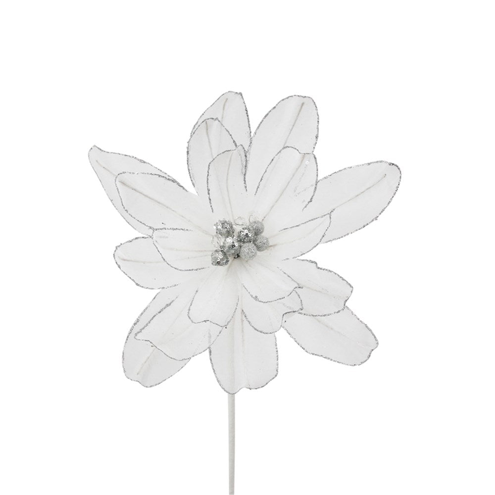 White Magnolia Flower Stem