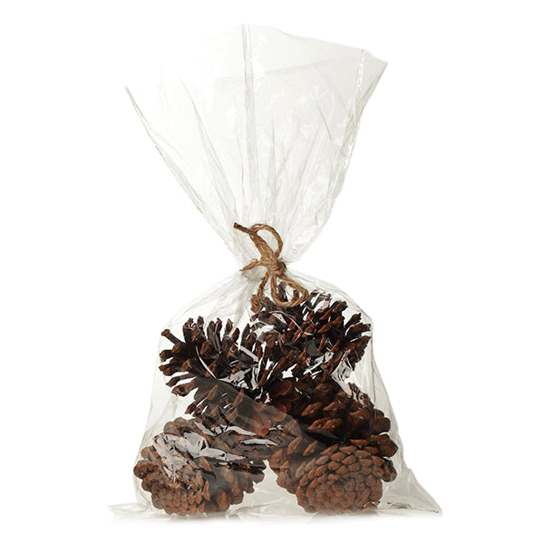 Medium Natural Real Pinecones - Pack of 4