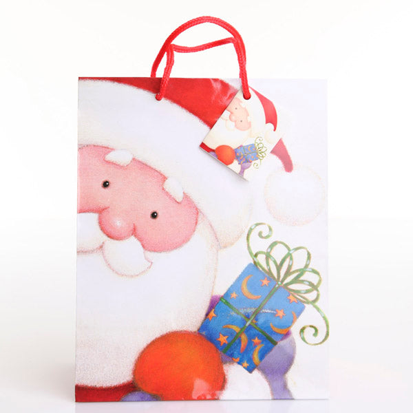 Santa Medium Gift Bag