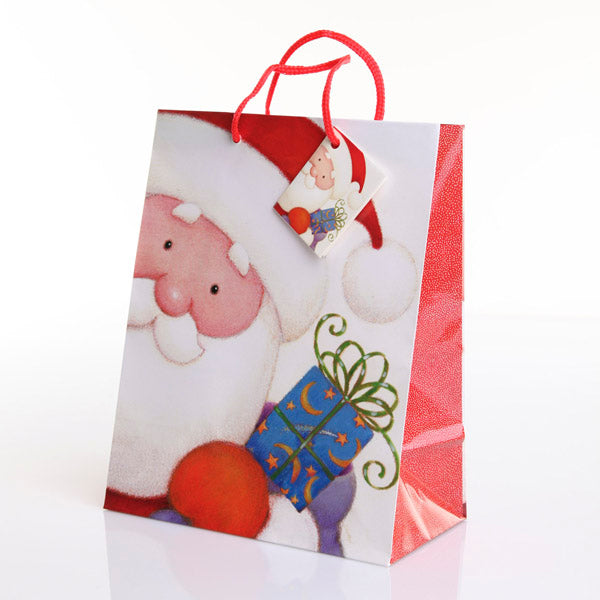 Santa Medium Gift Bag