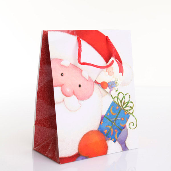 Santa Medium Gift Bag