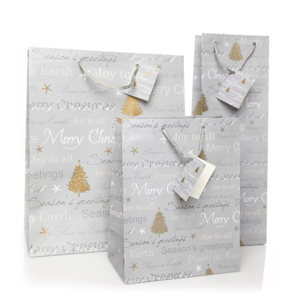Merry Christmas Gift Bag Group