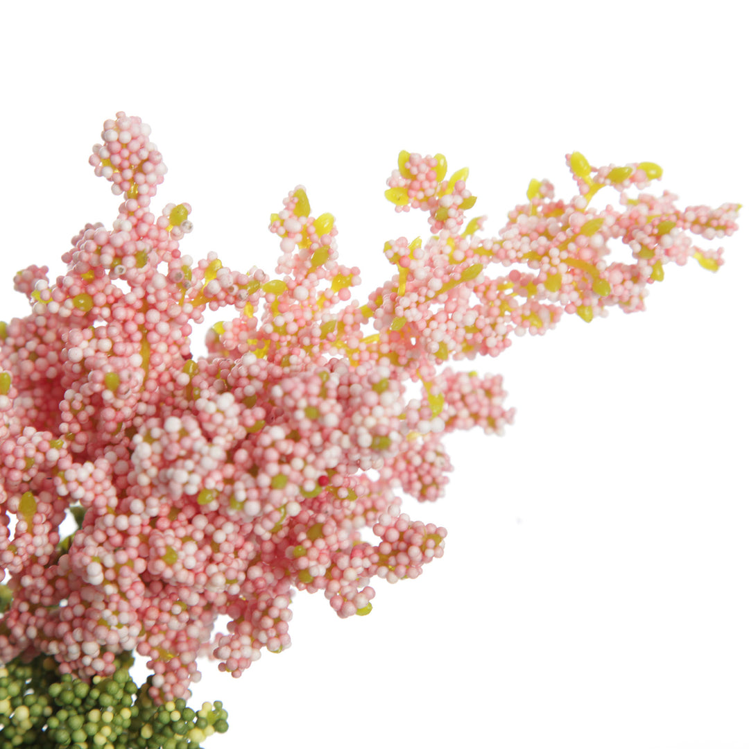 Mini Berry  Native Bush Christmas Pink Berry Spray