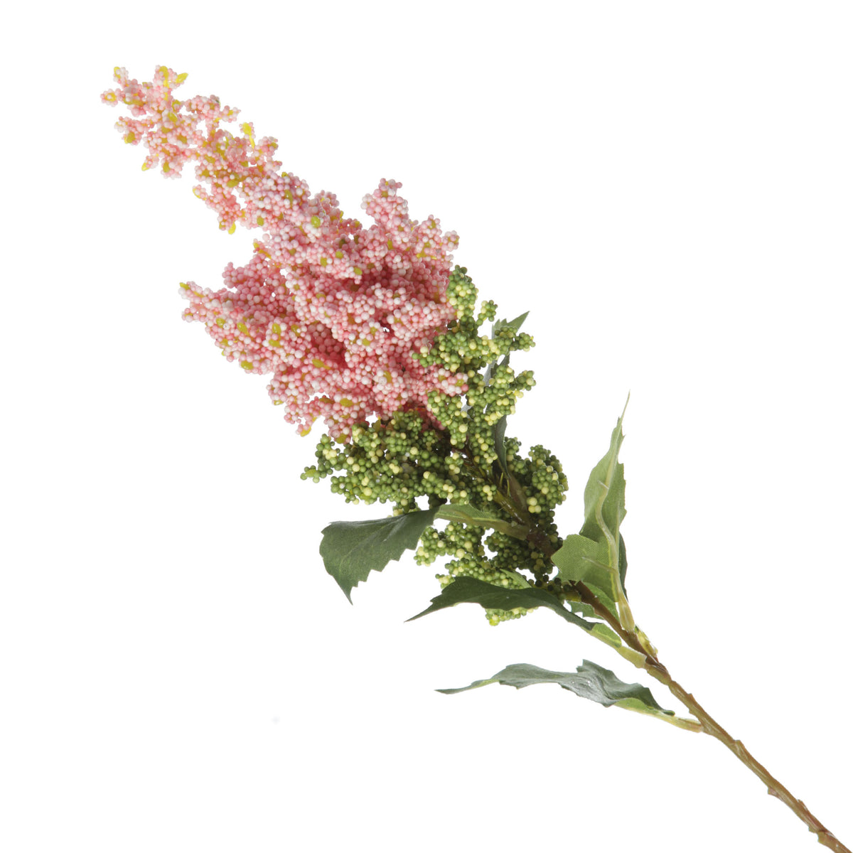 Mini Berry  Native Bush Christmas Pink Berry Spray