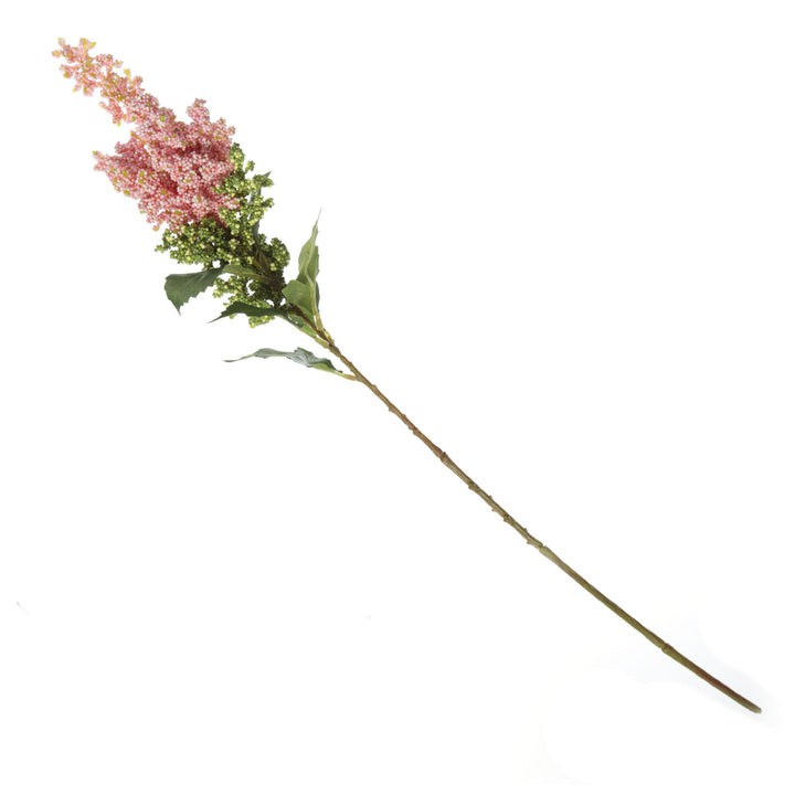 Mini Berry  Native Bush Christmas Pink Berry Spray