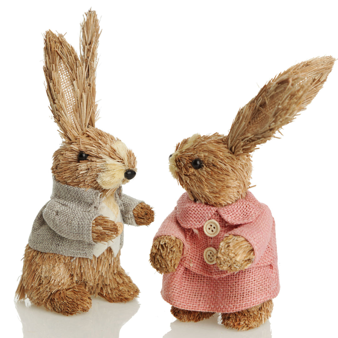 Mr and Ms Bunny 
