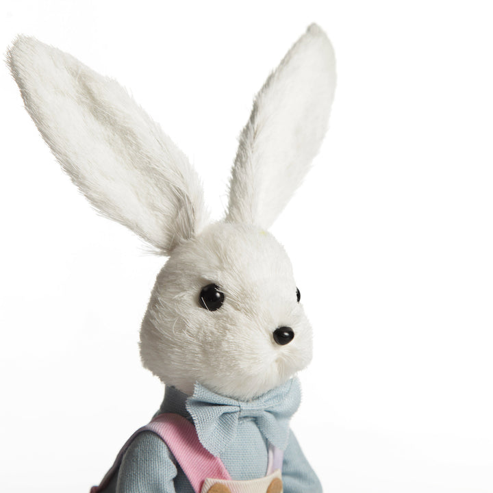 Mr Beau Easter Bunny