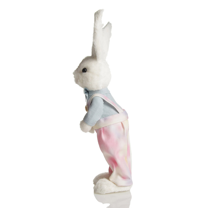 Mr Beau Easter Bunny