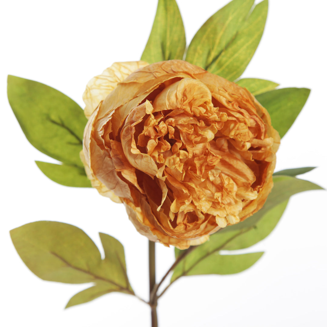 Mustard Peony Flower Stem