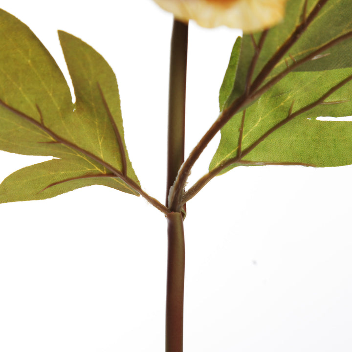 Mustard Peony Flower Stem