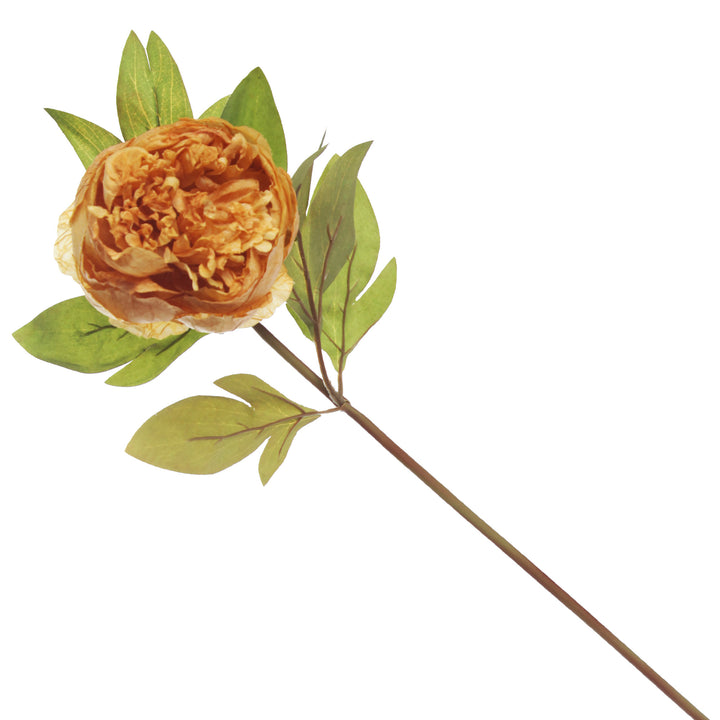 Mustard Peony Flower Stem