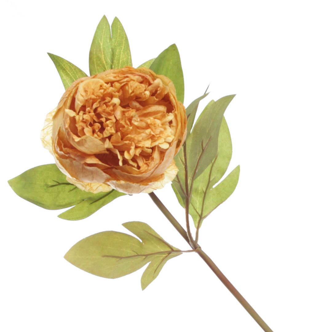 Mustard Peony Flower Stem