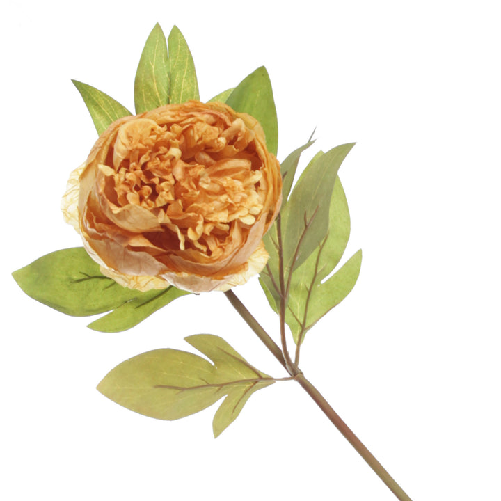 Mustard Peony Flower Stem