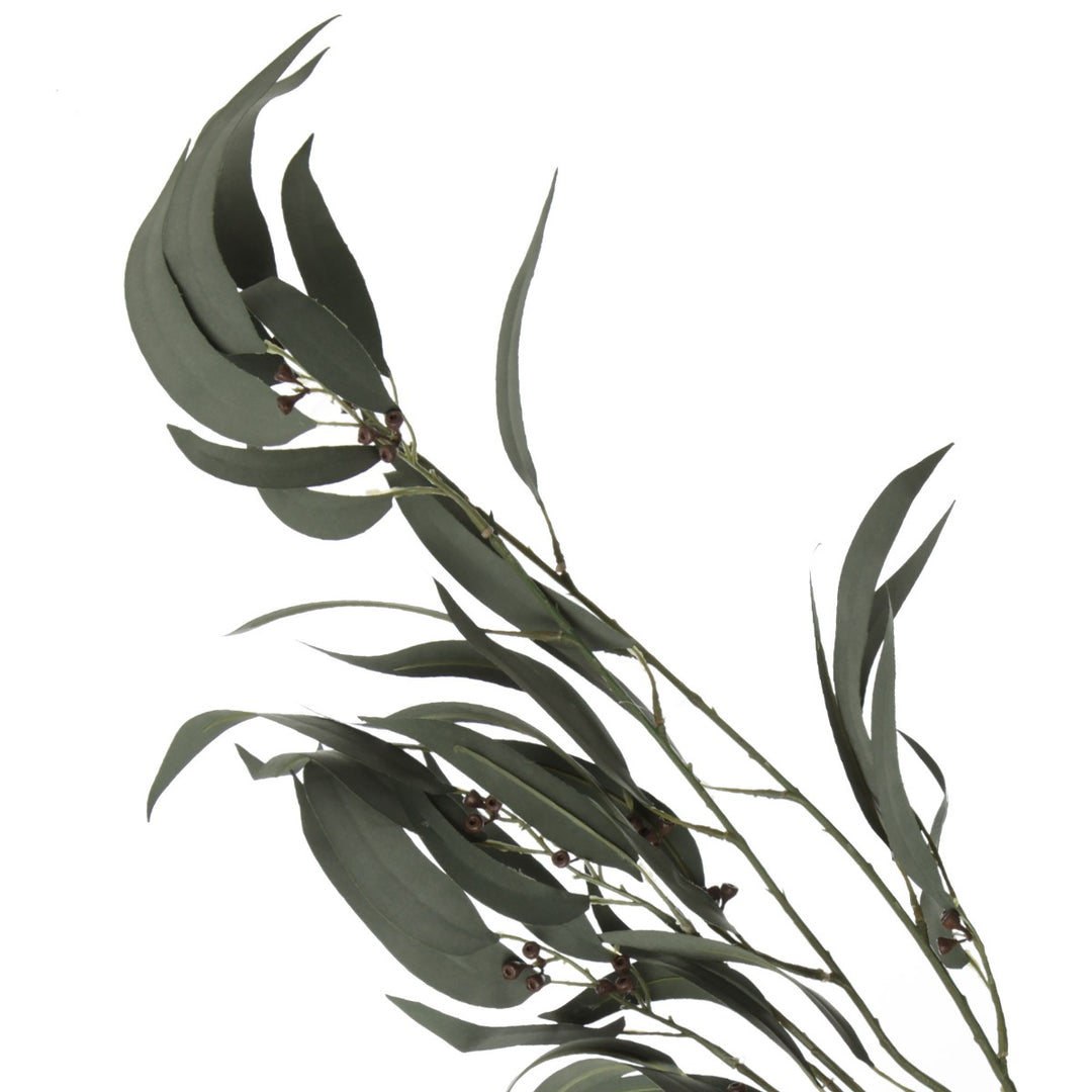 Native Eucalyptus Leaf Spray with Gumnuts Side Detail