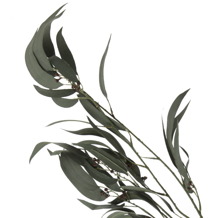 Native Eucalyptus Leaf Spray with Gumnuts Side Detail