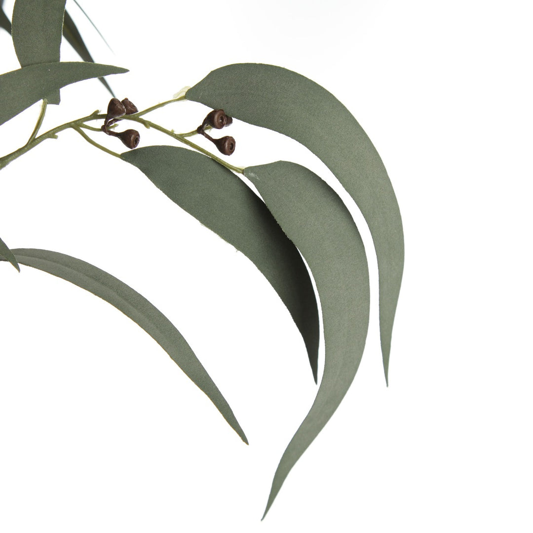 Native Eucalyptus Leaf Spray with Gumnuts Leaves detail