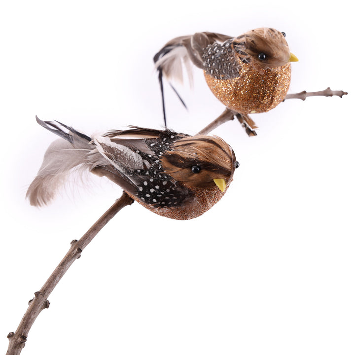 Natural Brown Feathered Tail Bird Clip - Set of 2