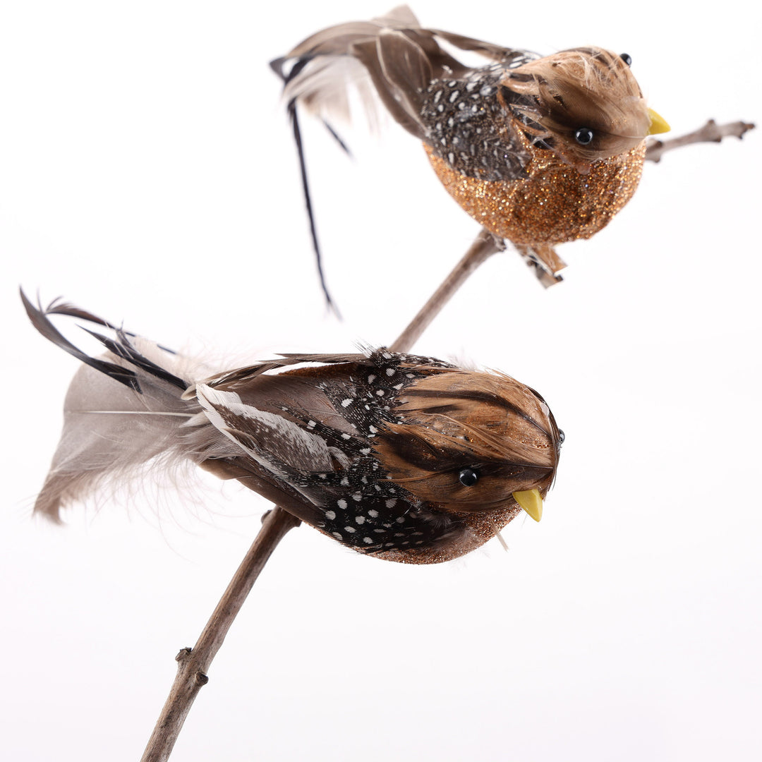 Natural Brown Feathered Tail Bird Clip - Set of 2