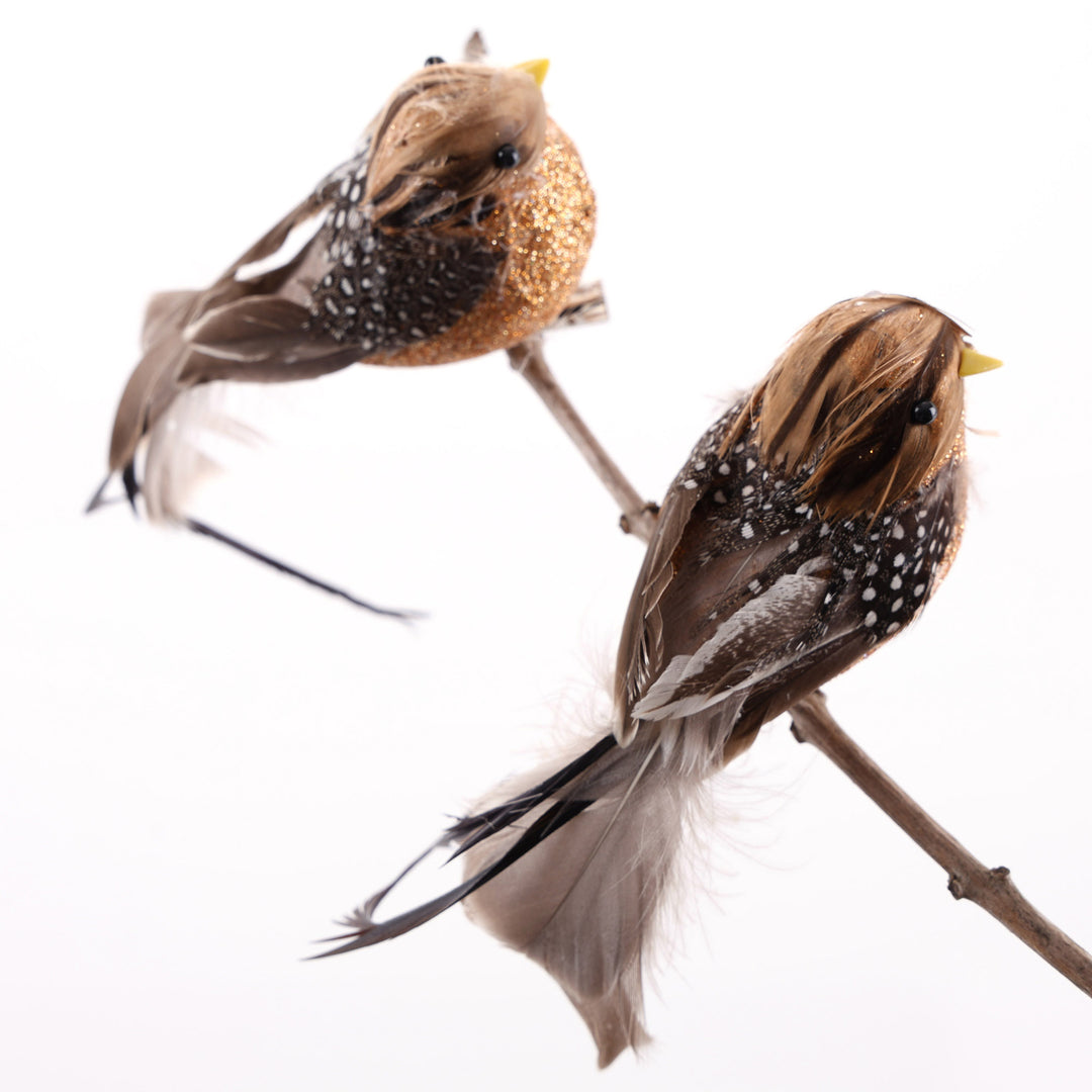 Natural Brown Feathered Tail Bird Clip - Set of 2