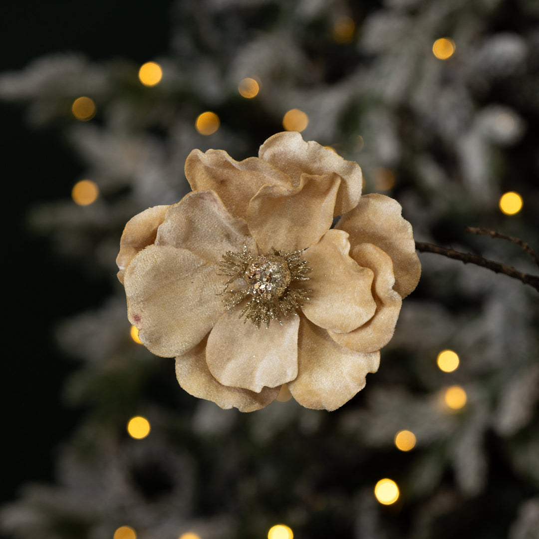 Champagne Velour Magnolia Flower Clip 