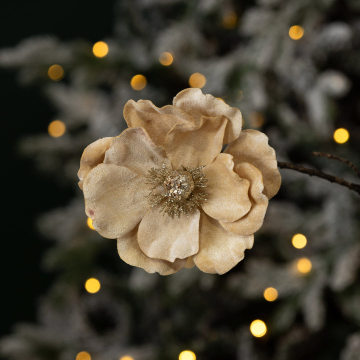 Champagne Velour Magnolia Flower Clip 