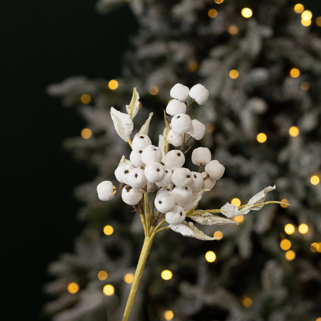 White Berry Pick