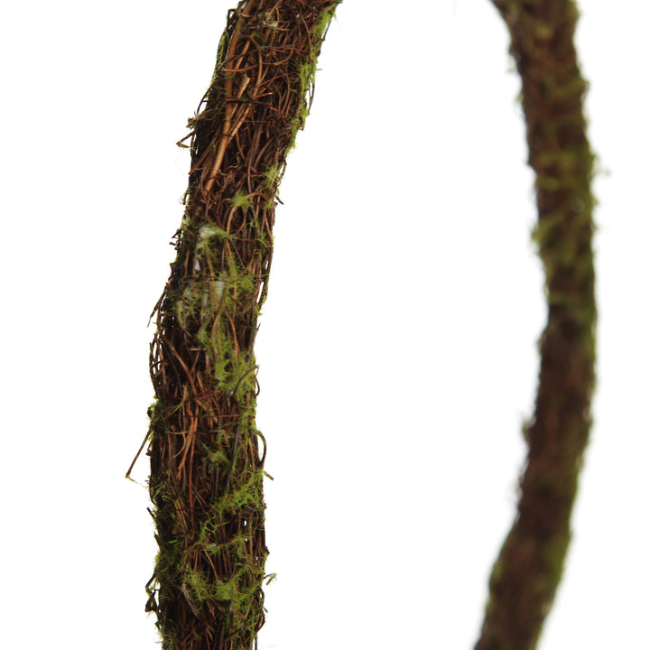 Natural Moss Wreath
