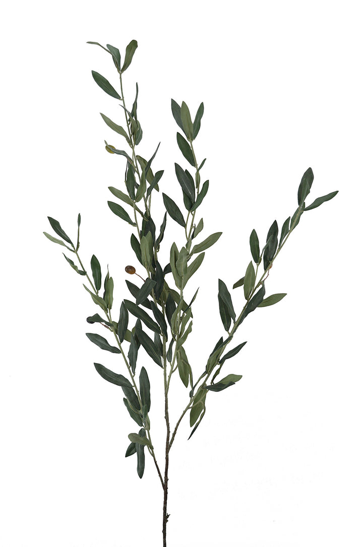 Olive Branch 110cm