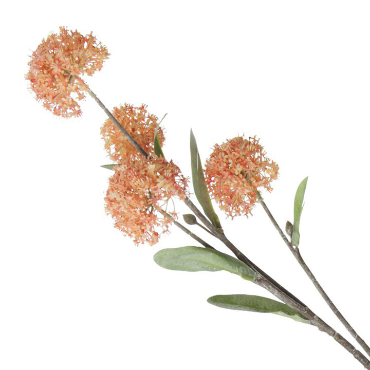 Orange Allium Bulb spray