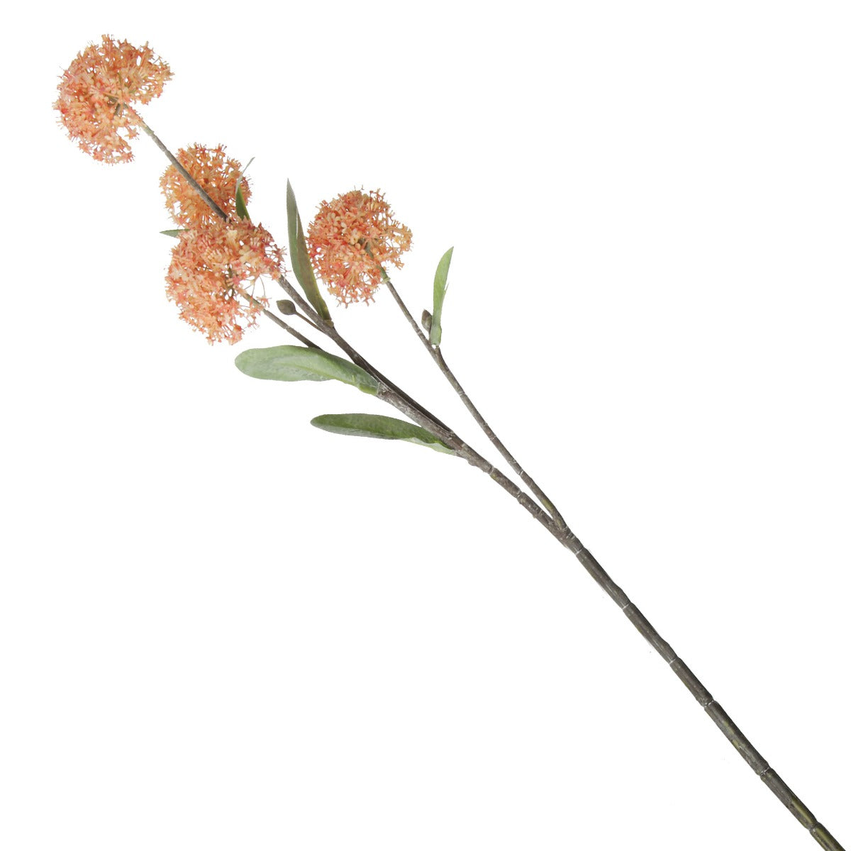 Orange Allium Bulb spray