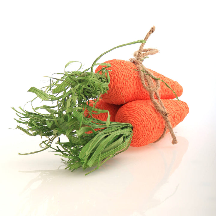 Orange Carrots Bunch - Set of 3