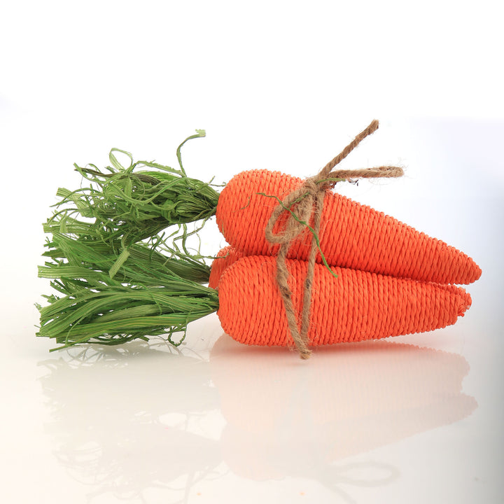 Orange Carrots Bunch - Set of 3
