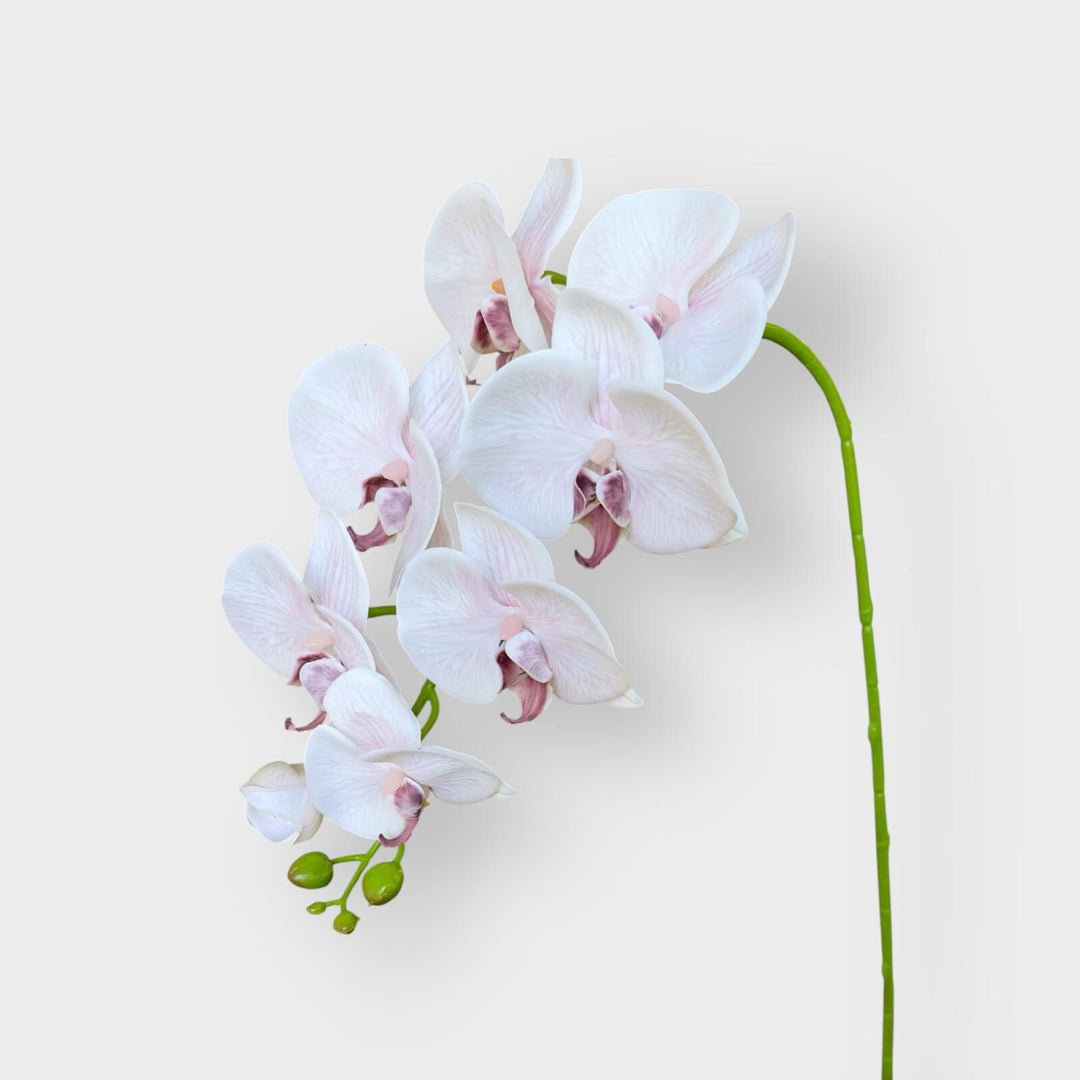 Orchid Phalaenopsis Real Touch Pink 96cm