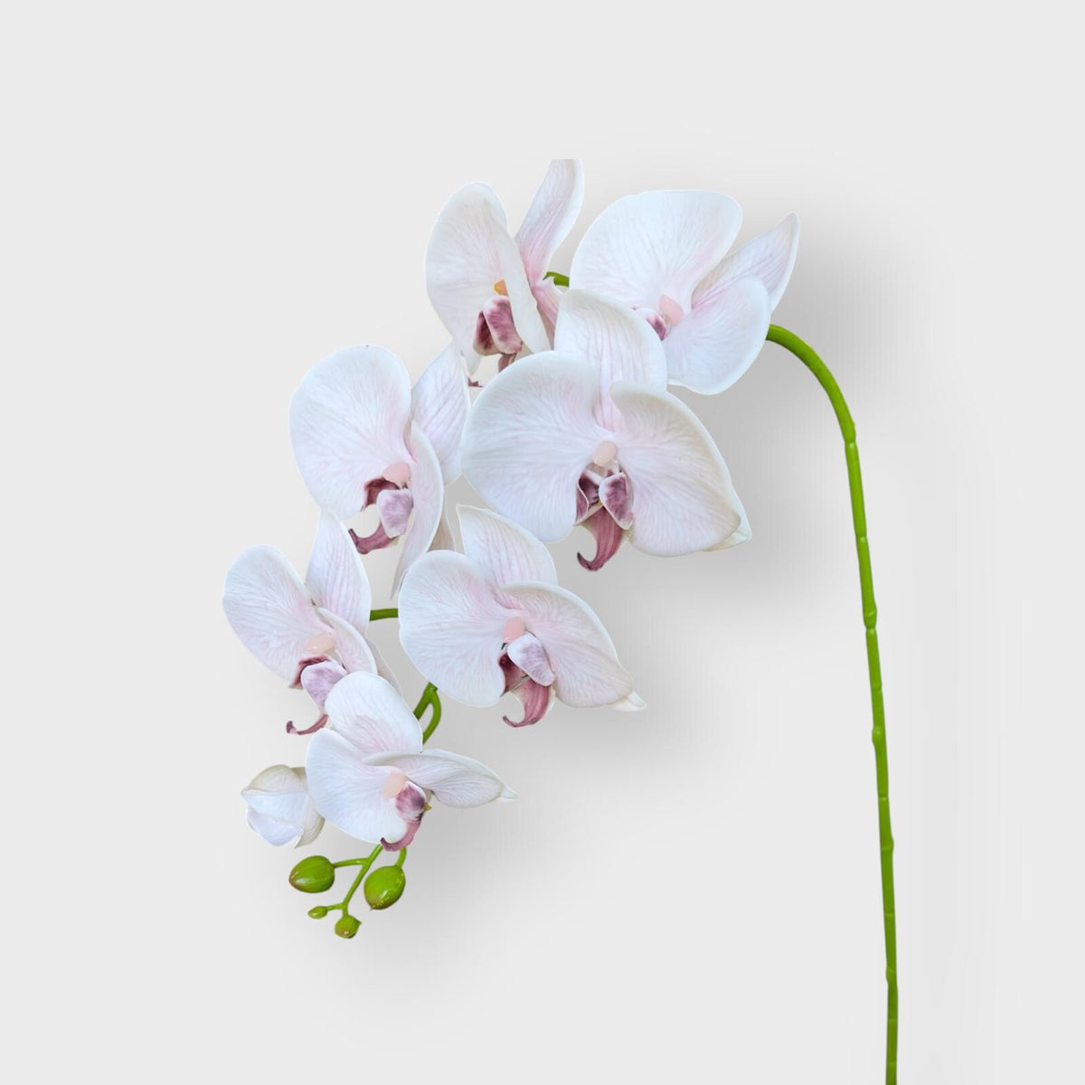 Orchid Phalaenopsis Real Touch Pink 96cm