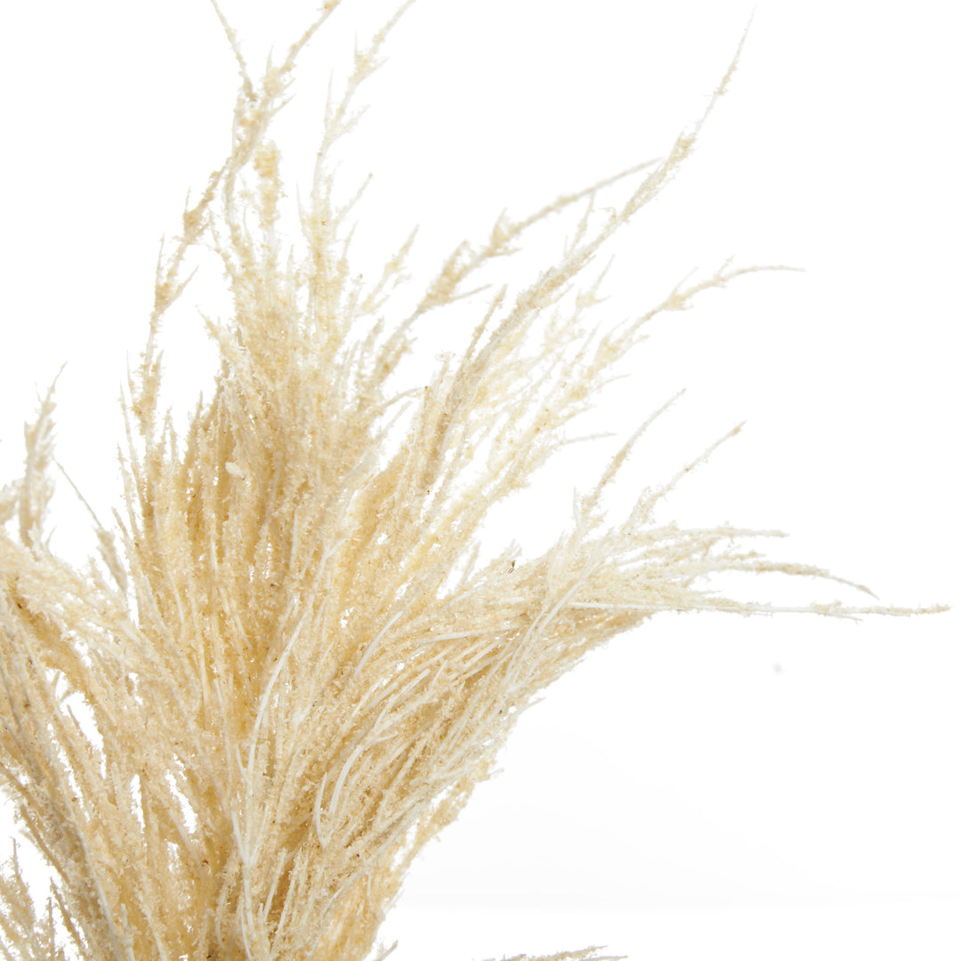 Pampas Grass Spray