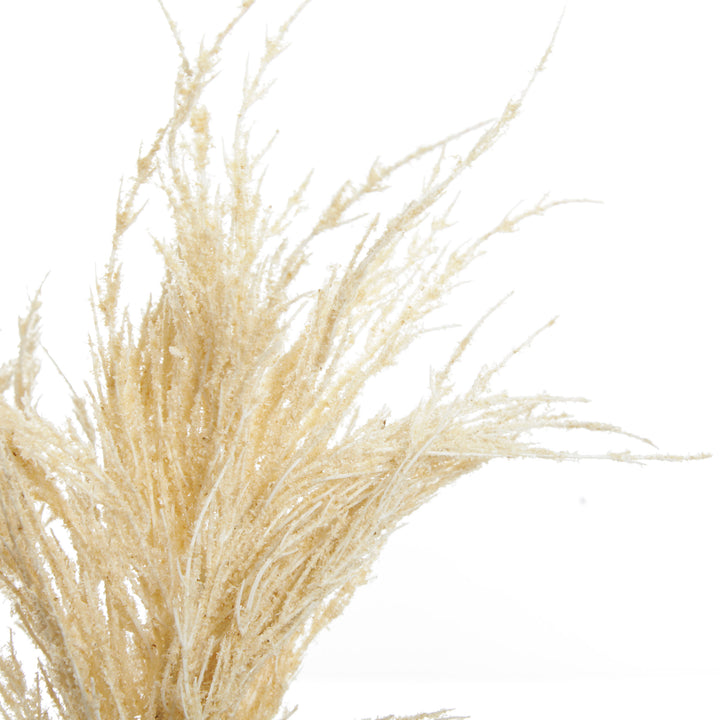 Pampas Grass Spray