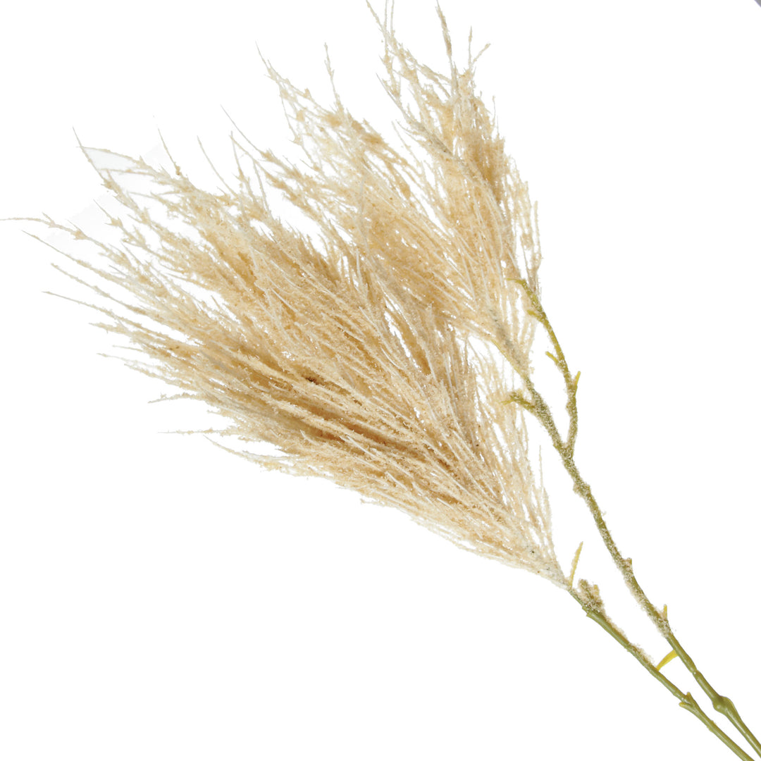 Pampas Grass Spray