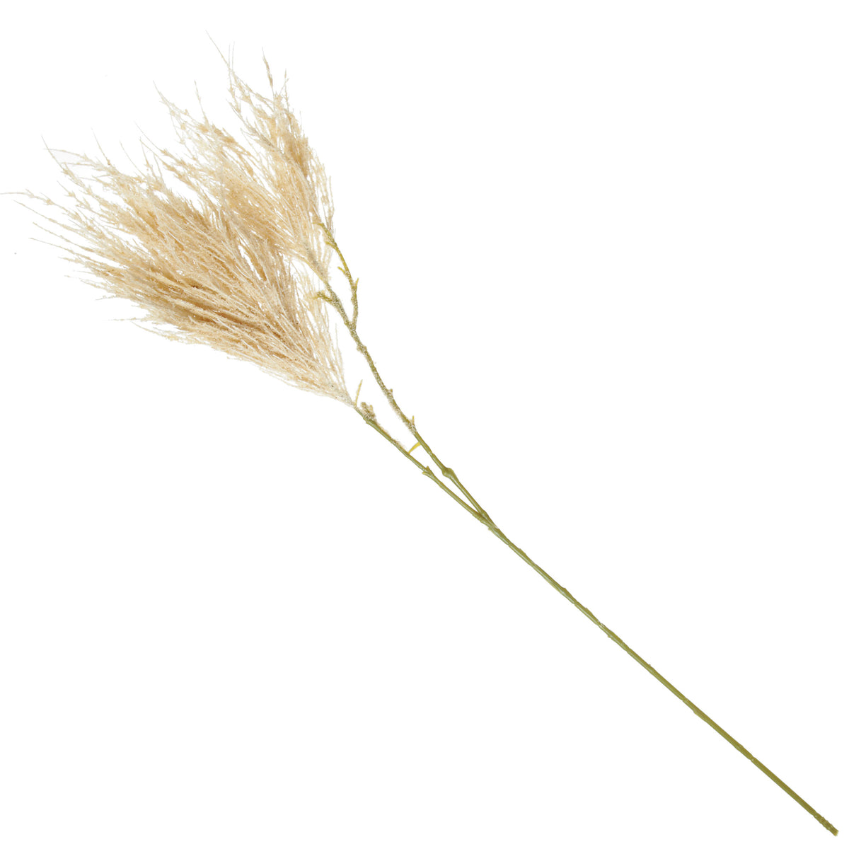 Pampas Grass Spray