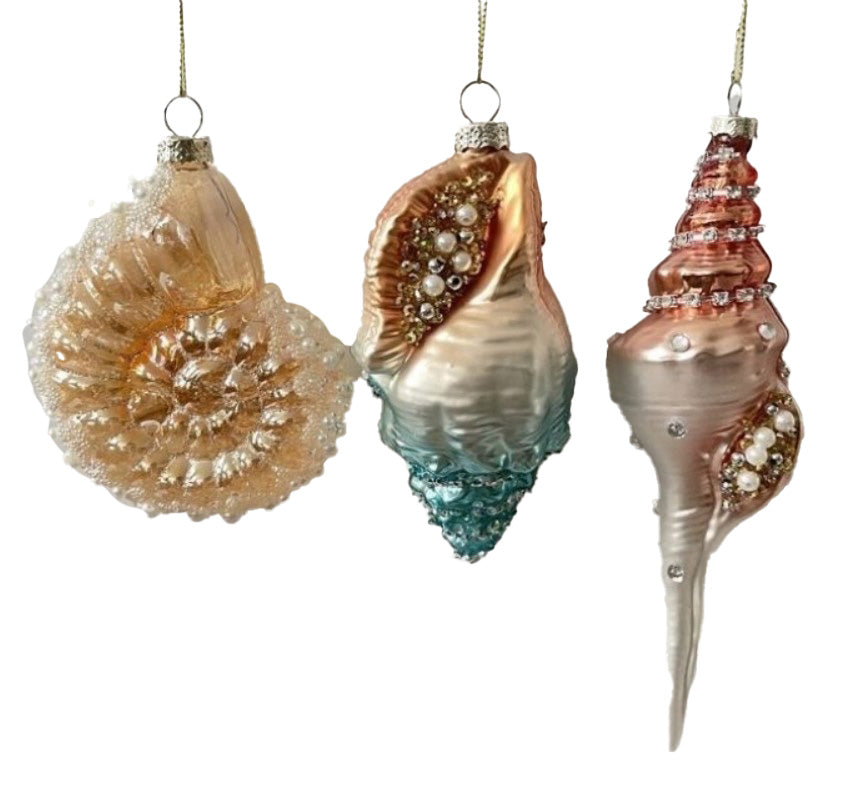 Glass Shell Decoration - Set of 3