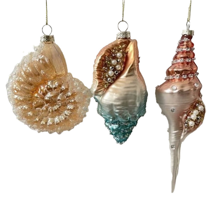 Glass Shell Decoration - Set of 3
