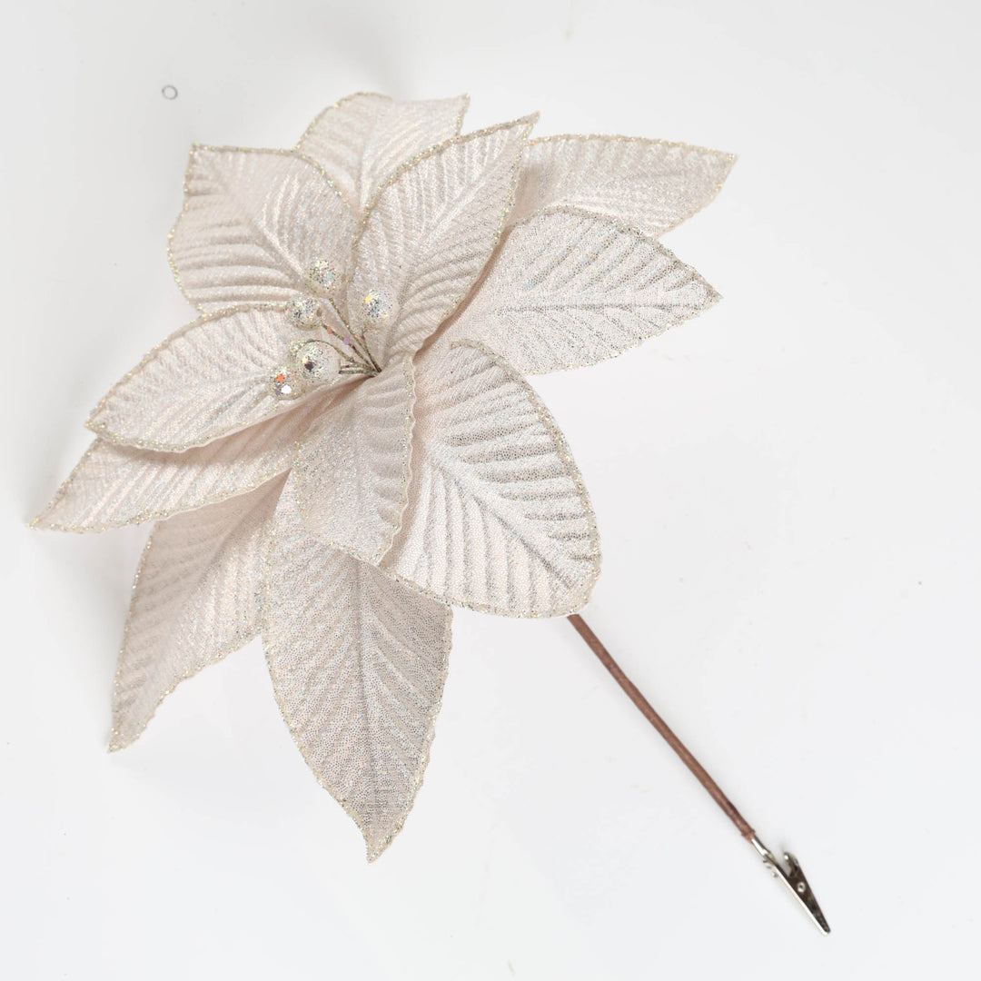 Pearl White Poinsettia Flower