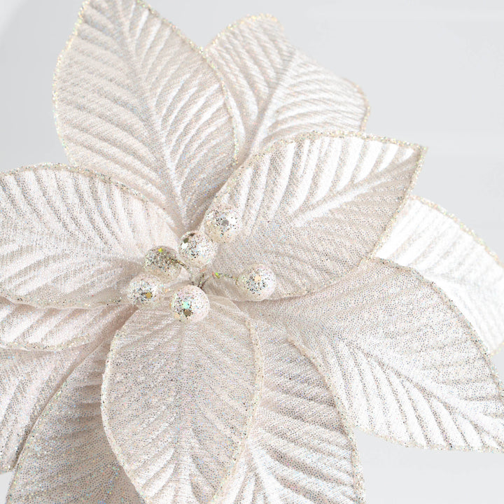 Pearl White Poinsettia Flower