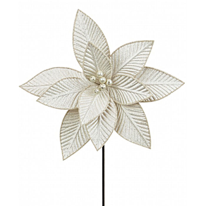 Pearl White Poinsettia Flower