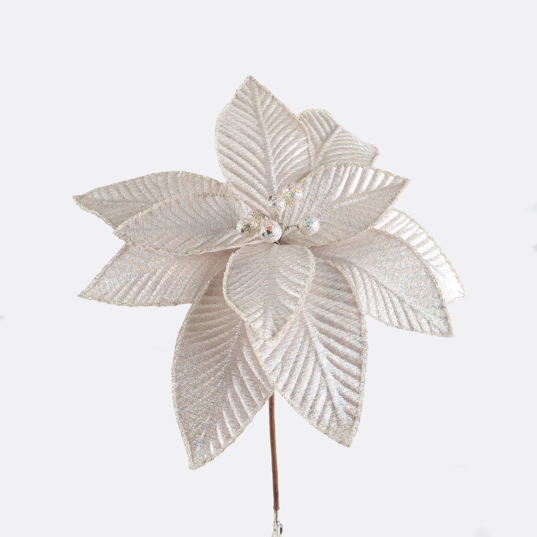 Pearl White Poinsettia Flower