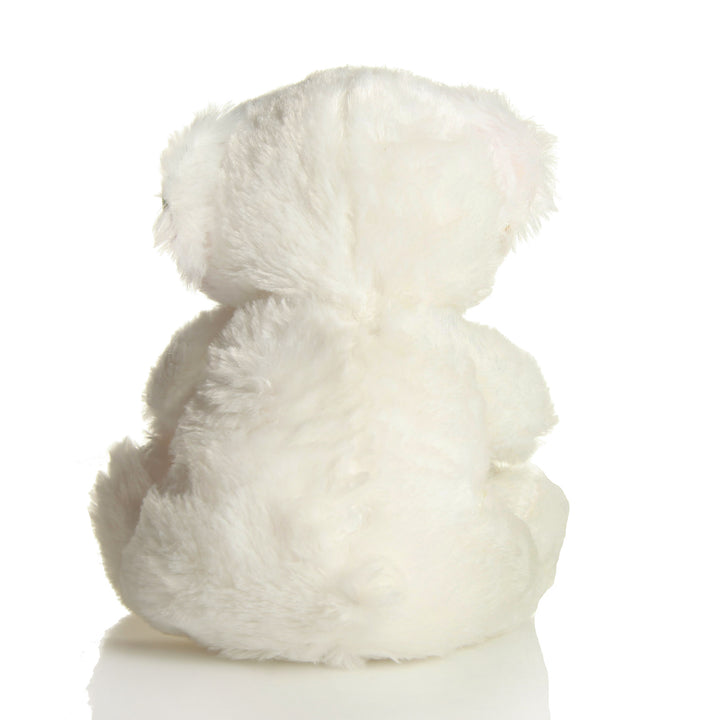 Personalised Rainbow Teddy Bear