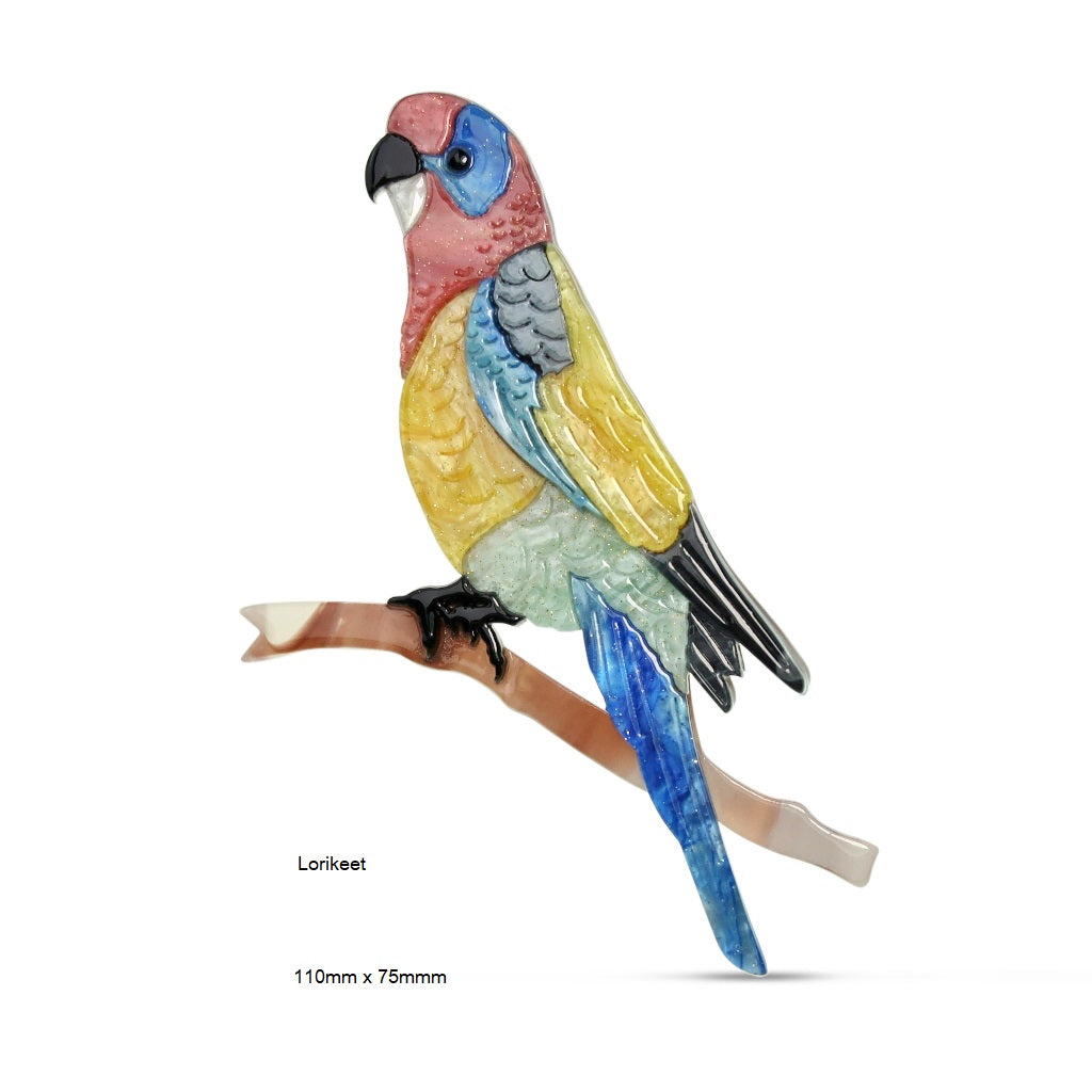 Rainbow Lorikeet - Acrylic Brooch