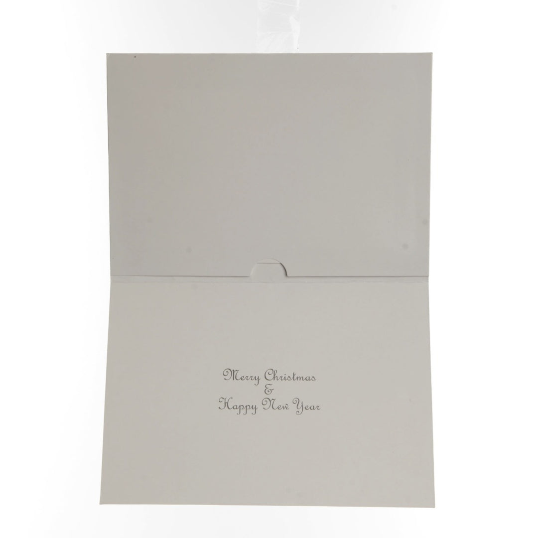 Silver Stars Photo Card 10 Pack - Card
