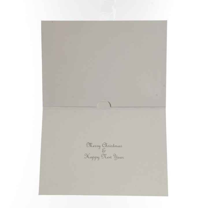 Silver Stars Photo Card 10 Pack - Card