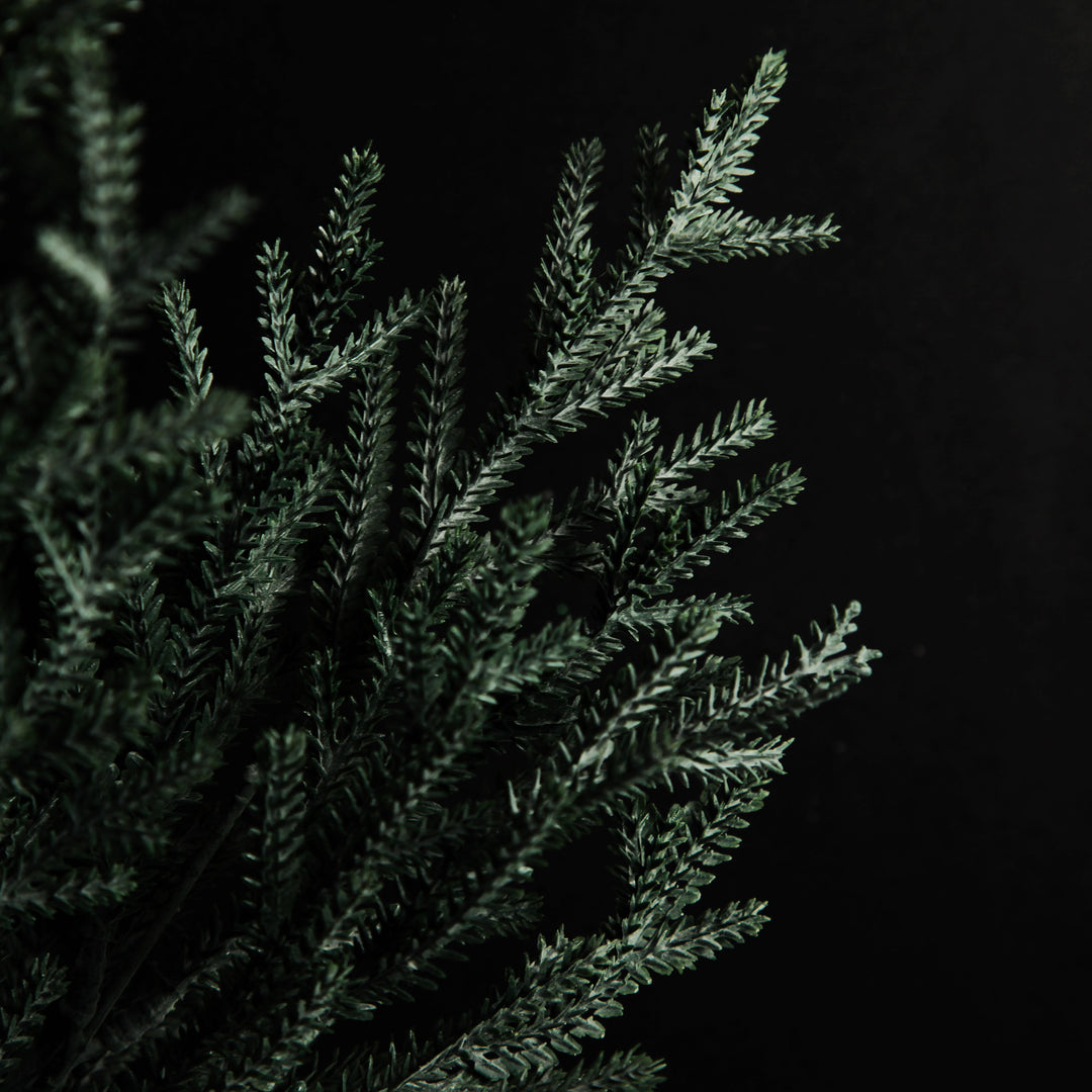 Pine Bush Spray