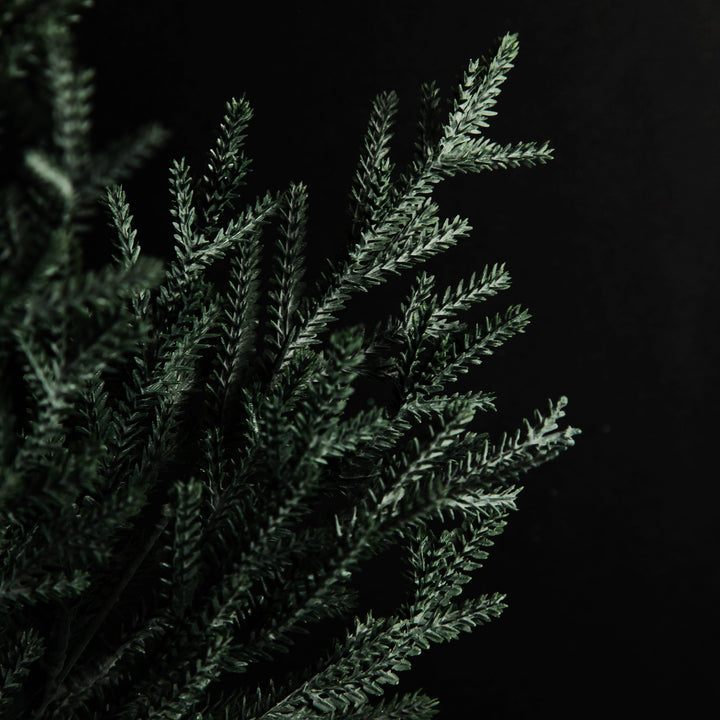 Pine Bush Spray